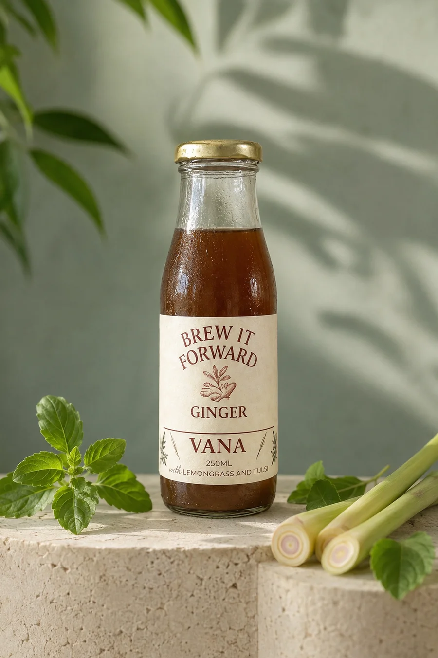 Vana ginger ferment with its original botanical label