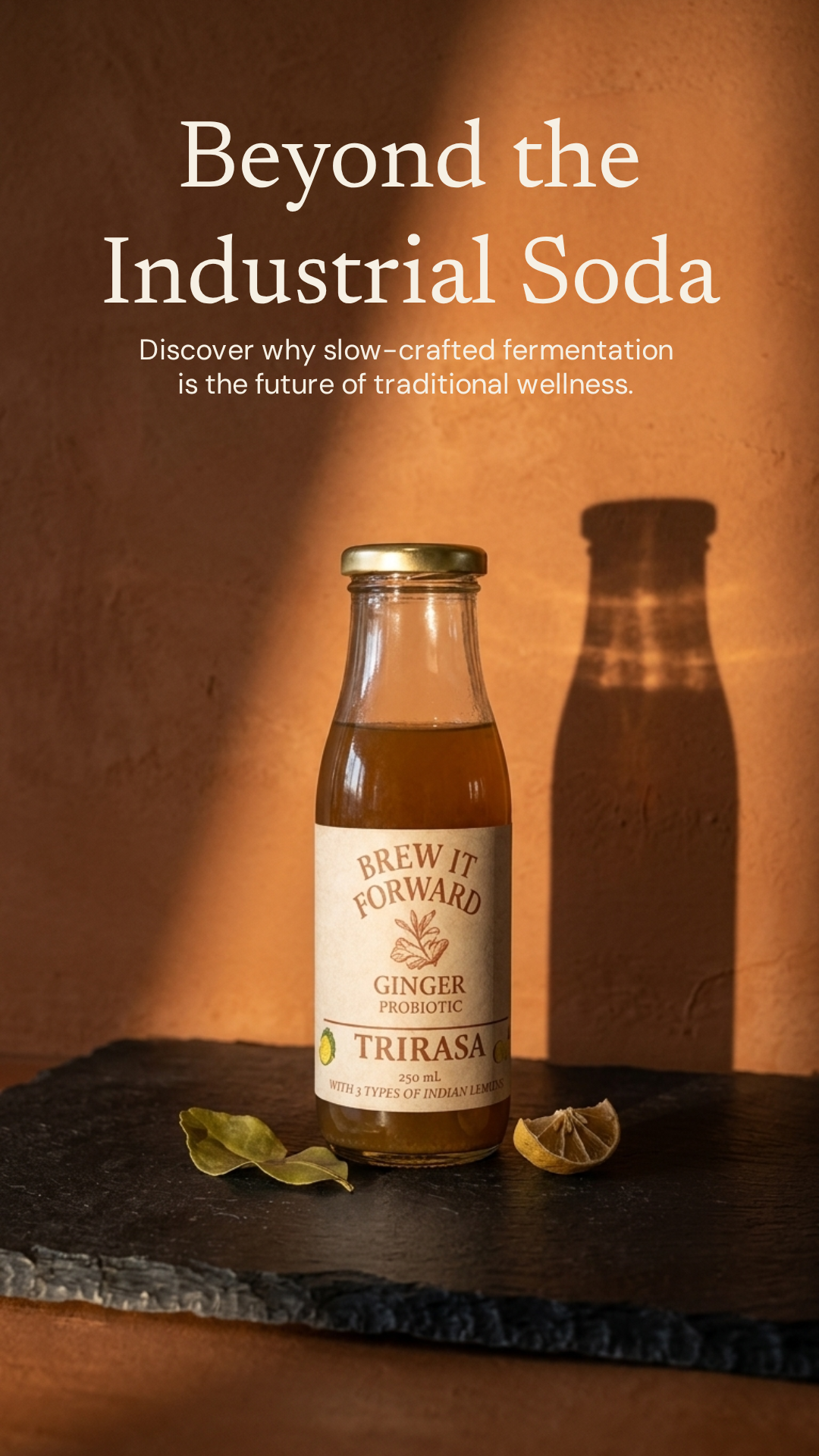 Trirasa ginger probiotic bottle lit against a warm terracotta wall